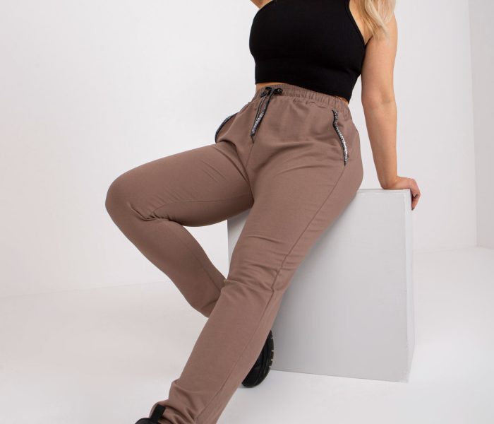Hurtownia Ciemnobeżowe dresowe spodnie plus size z kieszeniami Savage